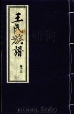 王氏族谱  卷13     PDF电子版封面     