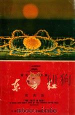 音乐舞蹈史诗  东方红歌曲集   1965  PDF电子版封面     