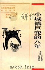 小城镇巨变的八年   1995  PDF电子版封面  7305028614  朱通华，张泉源主编 