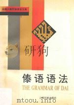 傣语语法   1993  PDF电子版封面  7536707363  巫凌云，杨光远编著 
