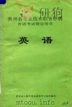 贵州省专业技术职务评聘外语考试指定用书  英语（ PDF版）