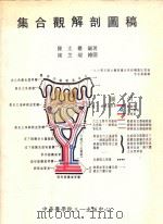 集合观解剖图稿   1994  PDF电子版封面    陈太义编著；姥芝瑞绘图 