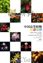 中国高等植物彩色图鉴  总索引（ PDF版）