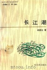长江潮（1993 PDF版）