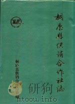 桐庐县供销合作社志   1994  PDF电子版封面    桐庐县供销合作总社编 