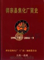 师宗县焦化厂简史  1990·9-2000·9（ PDF版）