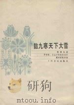 数九寒天下大雪   1983  PDF电子版封面    罗宗贤，王左才等集体创作 