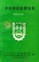 劳动争议处理法规  实用工作手册   1996  PDF电子版封面    吴光伟，陈秀英等主编 