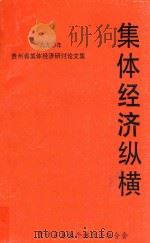 集体经济纵横   1990  PDF电子版封面    王光绮主编 