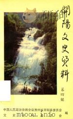 开阳文史资料  第4辑   1996  PDF电子版封面    谌模清主编 