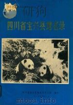 四川省宝兴县地名录   1985  PDF电子版封面    四川宝兴县地名领导小组编印 