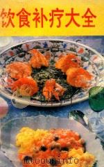 饮食补疗大全   1991  PDF电子版封面  7541929832  蒋家述编著 