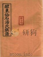 醴东仙石汤氏族谱  9（ PDF版）