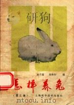 怎样养兔  第3版   1989  PDF电子版封面  7532300706  林子通，陈梅初编 
