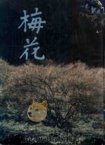梅花   1980  PDF电子版封面    汉光文化事业公司编辑委员会编 
