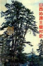 山西沁源王壁村史（ PDF版）