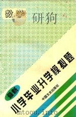 最新小学毕业升学模拟题  数学   1997  PDF电子版封面  7503408154  王中山主编 