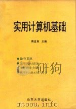 实用计算机基础   1993  PDF电子版封面  7560710174  隋孟勋主编；苑玉敏，王宗彬，田宝华，冯淑英副主编；徐森林，张 