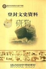 登封文史资料 第29辑 登封市非物质文化遗产专辑     PDF电子版封面     