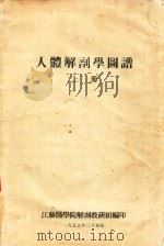 人体解剖学图谱  上   1955  PDF电子版封面    江苏医学解剖教研组编 