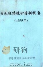 国民经济统计资料提要  1999年     PDF电子版封面    清原满族自治县统计局编 