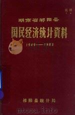 湖南省祁阳县国民经济统计资料  1949-1983   1984  PDF电子版封面    祁阳县统计局 