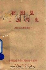 祁阳县工运简史（社会主义建设时期）   1986  PDF电子版封面    祁阳县总工会工运史办公室编 