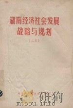 湖南经济社会发展战略与规划  2卷（1988 PDF版）