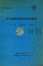 矿业项目经济评价和管理   1993  PDF电子版封面    王玲，张枰安主编 