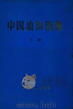 中国油田图集  下   1990  PDF电子版封面  750210416X  李国玉等编 