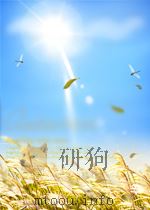 日本经济现状研究   1998  PDF电子版封面    薛敬孝等编 