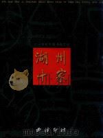 二十世纪中国书画艺坛湖州十家（1999 PDF版）