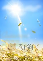 东北财政  第4卷  第2期   1952  PDF电子版封面     