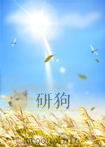 闽南农业科学  第3期（1960 PDF版）