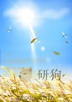 政治学研究     PDF电子版封面    中国社科院政治学研究所 