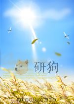 贵州交通运输（ PDF版）