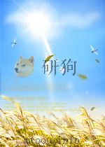 自然辩证法研究     PDF电子版封面    中国自然辨证法研究会 