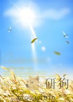 贵州调研     PDF电子版封面    中共贵州省委政策研究室 
