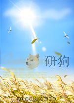现代远程教育研究     PDF电子版封面    四川广播电视大学 