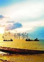 矿冶科技快报  第13期   1956  PDF电子版封面     