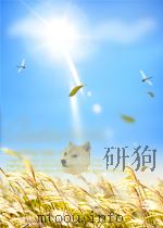 新华周报  第4卷  第10期   1950  PDF电子版封面     