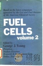 American Chemical Society.Fuel cell.v.2.1963.     PDF电子版封面     