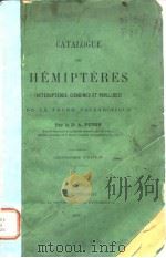 CATALOGUE DES  HEMIPTERES     PDF电子版封面     