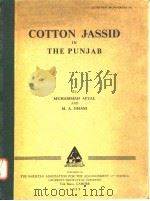 COTTON JASSID IN THE PUNJAB     PDF电子版封面    MUHAMMAD AFZAL AND M.A.GHANI 
