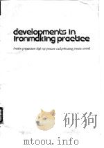 Iron and Steel Institute.Developments in ironmaking practice.1973.     PDF电子版封面     