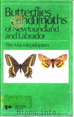 Morris·Butterflies and moths of Newfoundiand and Labrador     PDF电子版封面     