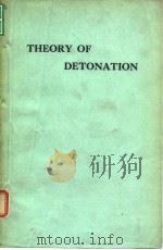 Theory of Detonation     PDF电子版封面     