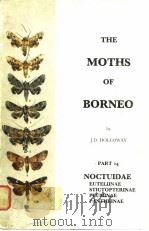 THE MOTHS OF BORNEO     PDF电子版封面    J.D.HOLLOWAY 