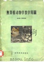 无脊椎动物学教学用图   1959年1月第1版  PDF电子版封面    赵如翼 路顺奎 