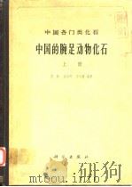 中国各门类化石  中国的腕足动物化石 上册（1964年6月第1版 PDF版）